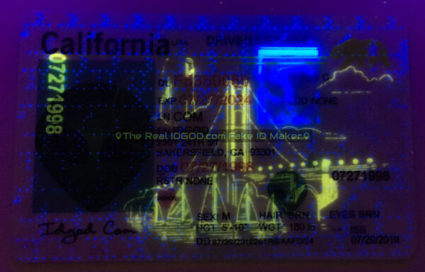 California Fake ID - Image 3