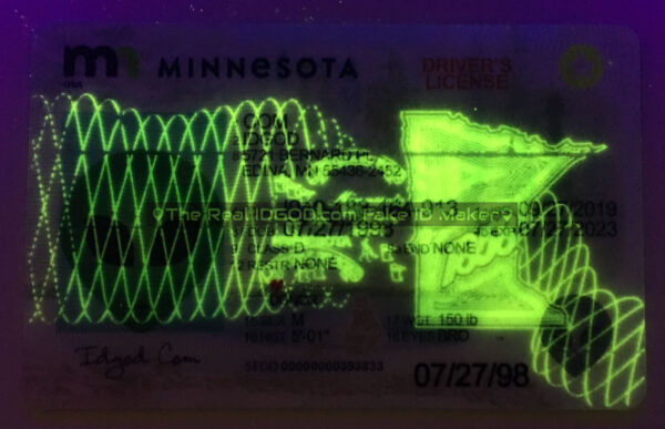 Minnesota Fake ID - Image 3