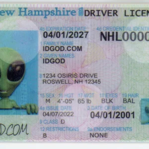 New Hampshire Fake ID