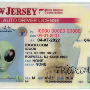 New Jersey Fake ID