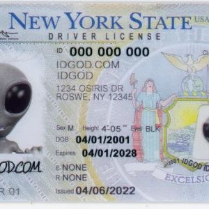 New York Fake ID